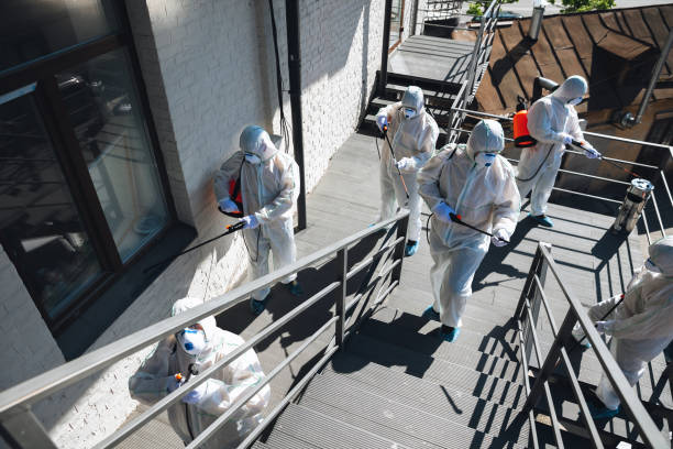 Asbestos and Lead Testing During Mold Inspection in Sunrise Manor, NV
