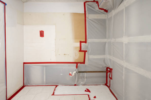 Best Mold Removal for HVAC Installations  in Sunrise Manor, NV