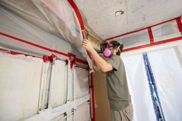 Trusted Sunrise Manor, NV Mold Removal Experts