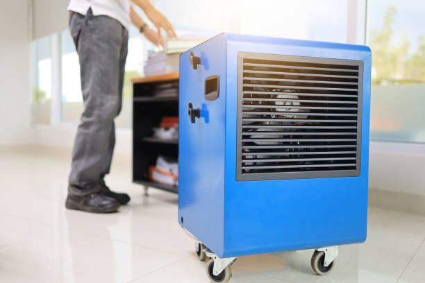 Best Mold-Related Health Consultation  in Sunrise Manor, NV