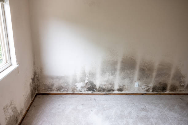 Best Indoor Air Quality Assessment  in Sunrise Manor, NV